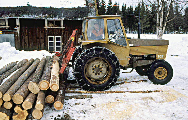 Timmersortering arbete, gammal, skog, skoghuggare, skogsarbete, skogsbruk, stockar, timmer, timmerstockar, traktor