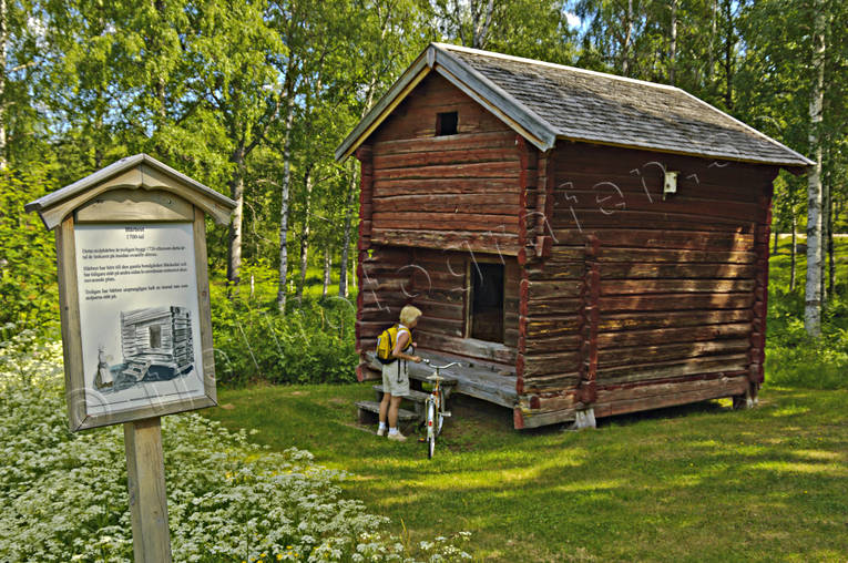 Timrat stolphärbre byggnader, byggnationer, bäckedal, fornminne, fornminnen, forntid, förvaring, gammalt, hus, härbre, Härjedalen, kultur, stolphärbre, stuga, timrat