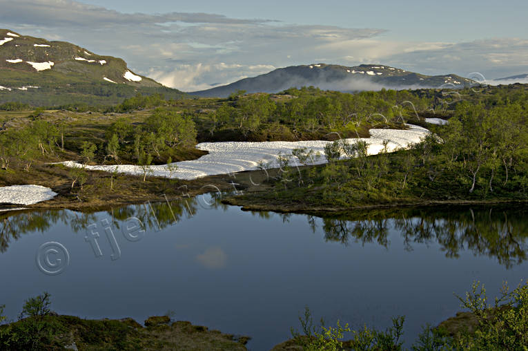 Anaris, Anarisfjllen, fjll, fjllbjrk, fjllbjrkar, fjllen, fjllsj, Jmtland, Landskap, sn, snflckar, spekgelblank, vr, rstid, rstider