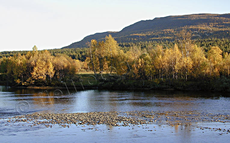 Tjulån och fjället Ribovardo Ammarnäs, höst, kväll, Landskap, lappland, Ribovardo, Tjulån