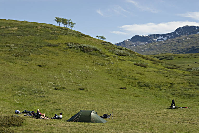 fjllvandring, fjllng, grnt, nationalpark, Padjelanta, sommar, tlt, tltlger, ventyr