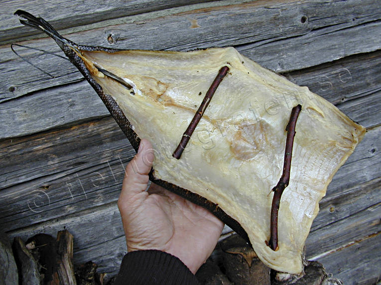 arbete, fisk, fiske, gdda, torkaad fisk, torkad, torkning, yrkesfiske