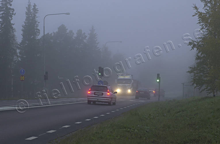 Trafik i dimma bilar, biltrafik, dimma, kommunikationer, landfart, trafik, väg