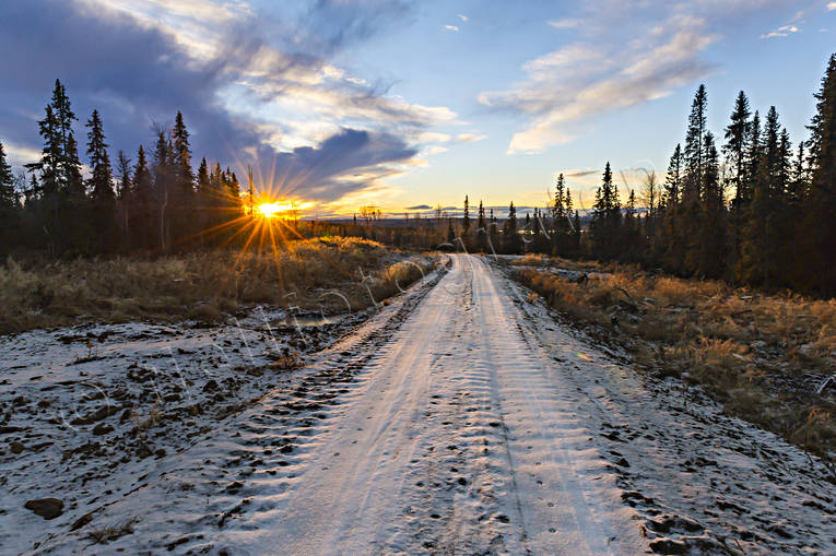 Traktorspår på vinterväg enslig, husåvägen, höst, Jämtland, Landskap, soluppgång, traktorväg, vinter, väg