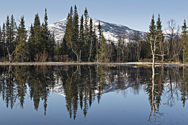 Enafors, fjll, fjllandskap, fjllen, fjlltjrn, fjlltopp, fjlltoppar, hgfjll, Jmtland, Landskap, natur, skog, Snasahgarna, Snasen, spegling, Storsnasen, stmmning, stmningsbild, stmningsbilder, tjrn, vatten, vr, rstid, rstider