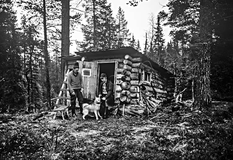 Trapperkoja i Hotagen bergstrand, finnspets, fångst, fångstkoja, jakt, jaktkoja, koja, skogskoja, timrad, trapperkoja, trappern, trappern Bergstrand, trädskällare