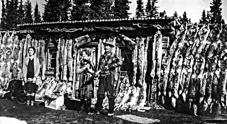 Trappers i Kanada fångst, jakt, pälsdjursfångst, pälsfångst, trappern