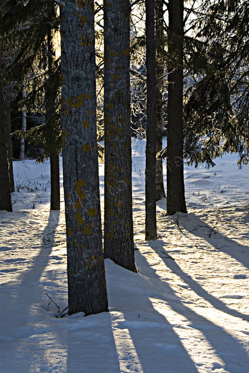 jul, julbilder, julkort, julstmning, stmning, stmningsbild, stmningsbilder, vinter, vinterbilder, rstid, rstider