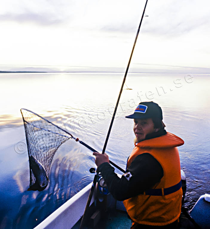 Trollingfiske på Storsjön båtfiske, fiske, kanadaröding, sportfiske, Storsjön, trolling, trollingfiske