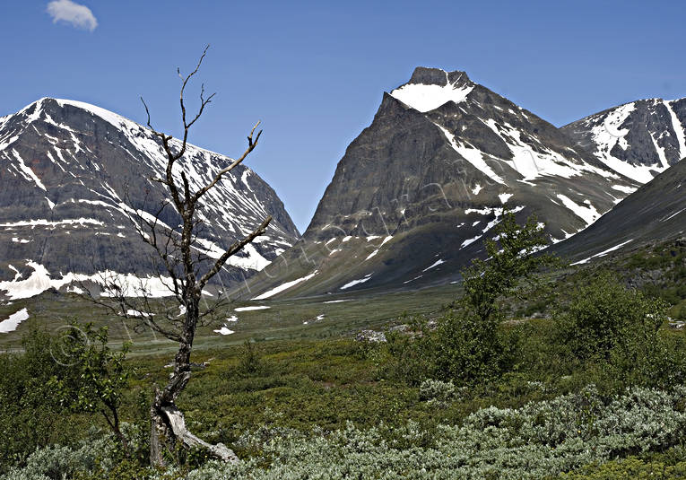 berg, fjll, fjllen, fjlltopp, hgfjll, Kebnekaise, Landskap, lappland, natur, sommar, tuolpagorni