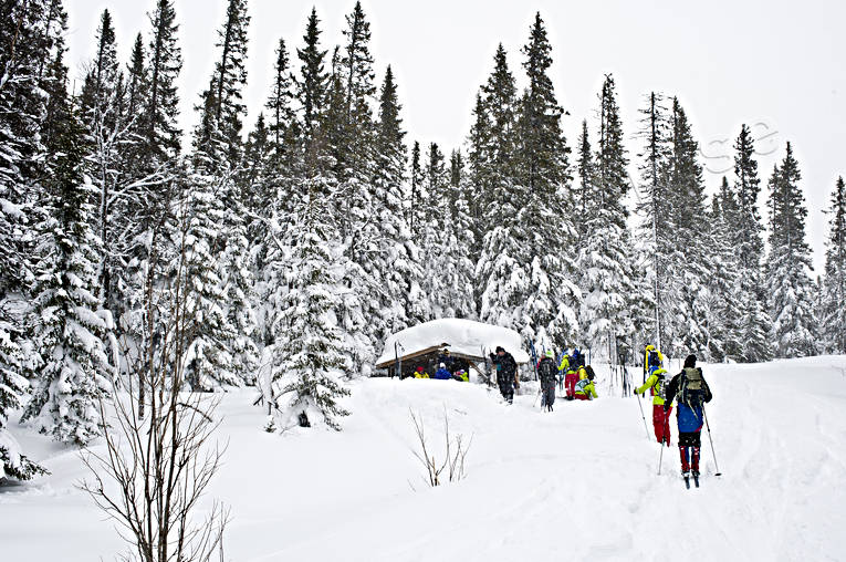 Turåkare vindskydd friluftsliv, skidåkare, skidåkning, sport, turåkning, vindskydd, vinter, äventyr