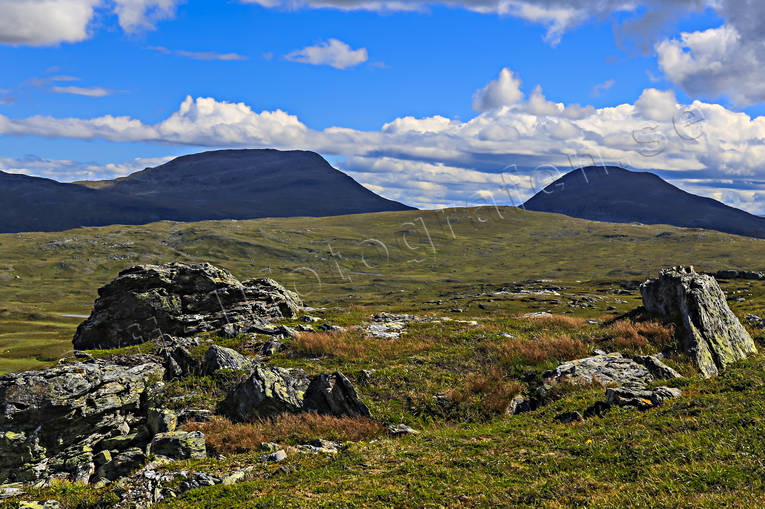 fjll, fjllandskap, fjllen, getryggen, hgfjll, hgfjllen, Jmtland, Landskap, natur, sommar, sommarfjll, tvrklumpen, rstider