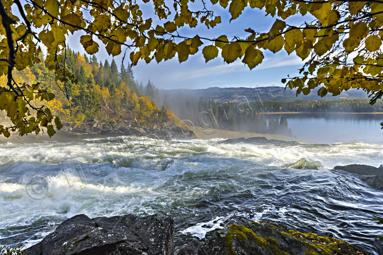 Tännforsen fors, höst, höstfärger, höstlöv, Jämtland, Landskap, Sevärdheter, Tännforsen, vatten, vattendrag, vattenfall