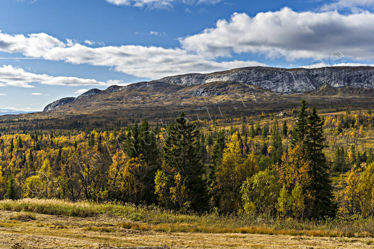 Ullådalen Mullfjället fjäll, höst, höstfärger, Jämtland, Landskap, mullfjället, Ullådalen, årstider