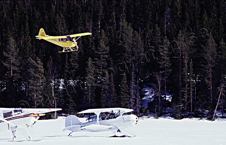 Ultralätt flygplan landar på snö flyg, flygmaskin, kommunikationer, landar, luftfart, skidflyg, skidflygning, skidor, Super Koala, ultralätt