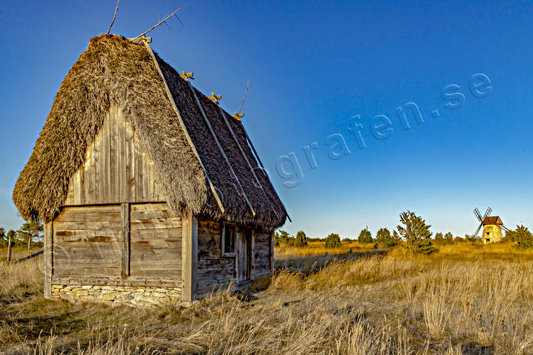 Uthus med hamltak byggnader, Fårö, Gotland, halmtak, sommar, stråtak