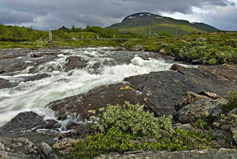 Utloppet i Virihaure vid Staloluokta fjällälv, fors, hängbro, Landskap, lappland, nationalpark, Padjelanta, sommar