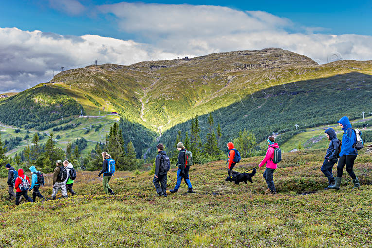Vandrare Åreskutan fjäll, fjälltopp, fjällvandring, friluftsliv, människor, natur, sommar, vandra, vandrare, vandring, Åreskutan, äventyr