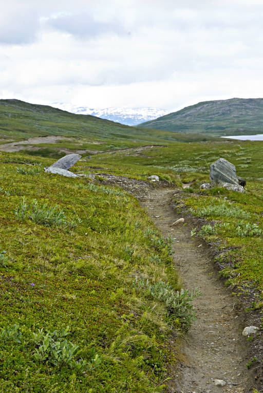 Vandringsled i Padjelanta fjälled, fjällvandring, led, nationalpark, Padjelanta, sommar, stig, vandringsled, äventyr