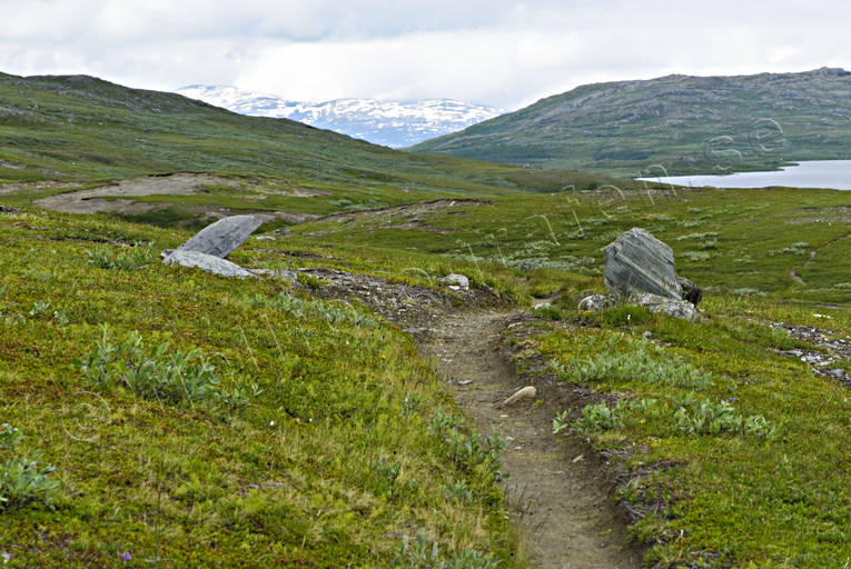 fjlled, fjllvandring, led, nationalpark, Padjelanta, sommar, stig, vandringsled, ventyr