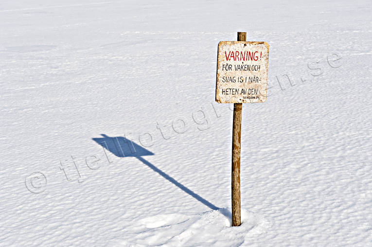 fisk, fiske, fisketvling, Gevsjn, natur, pimpelfiske, pimpla, rding, sjar, sportfiske, ring