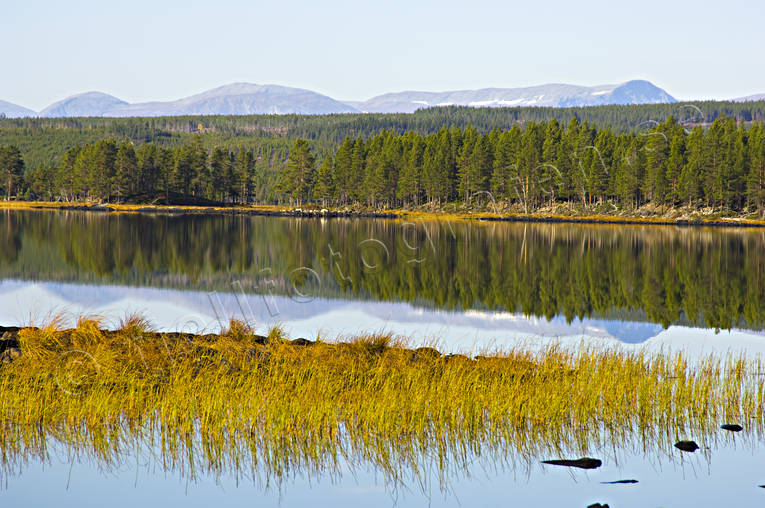 biotop, biotoper, Hrjedalen, hst, Landskap, natur, sjar, strnder, vass, vassrugge, rstid, rstider