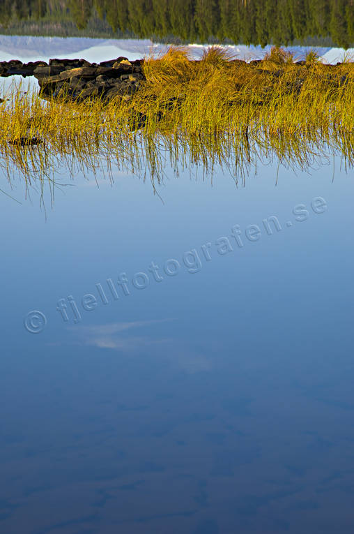 biotop, biotoper, Hrjedalen, hst, natur, sjar, strnder, vass, vassrugge, rstid, rstider