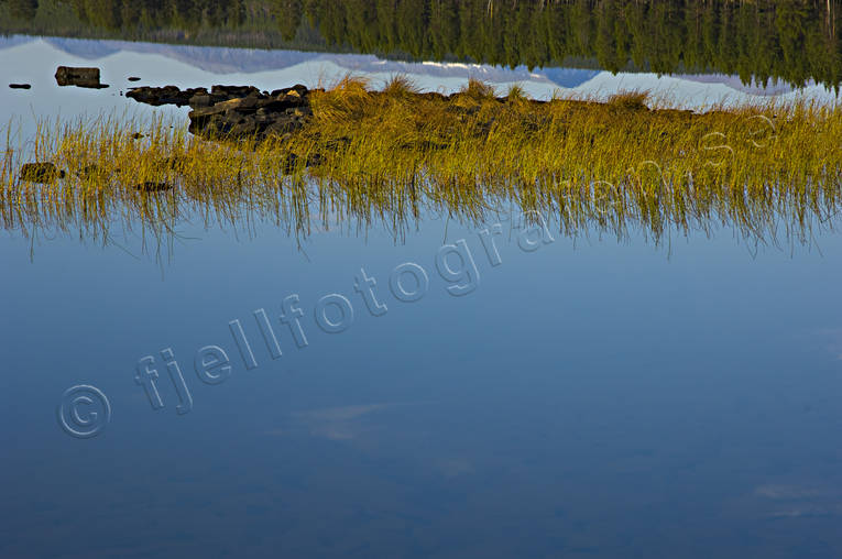 biotop, biotoper, Hrjedalen, hst, natur, sjar, strnder, vass, vassrugge, rstid, rstider