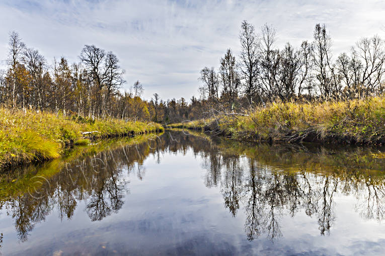 Vattendrag genom myr höst, höstfärger, Jämtland, Landskap, myr, natur, vatten, vattendrag