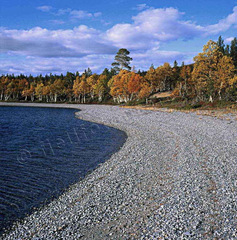 Vattensjön höst, Jämtland, Landskap, strand, vattensjön