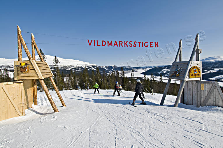 fritid, skidkare, skidkning, sport, Tegefjll, utfrskning, vildmarksstigen, vinter, re, redalen
