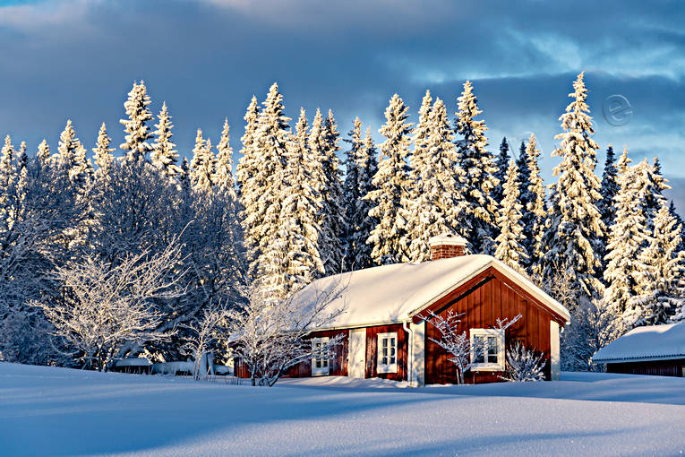 granar, granskog, hem, hus, julstämning, Jämtland, längtan, Löfsåsen, skog, snö, stuga, stugor, stämning, stämningsbild, stämningsbilder, upplega, vinter, vinterro, vinterskog, vinterstuga, årstid, årstider