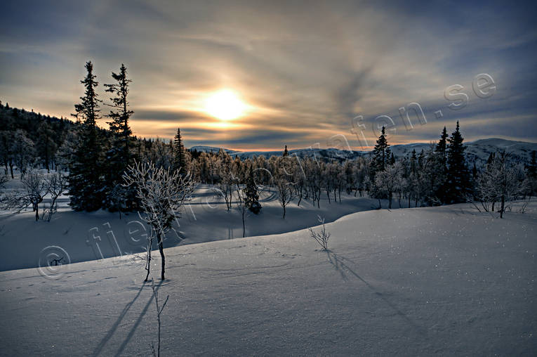 Blåsjöfjället, fjällskog, himmel, Jämtland, Landskap, natur, sol, utsikt, vinter, årstider