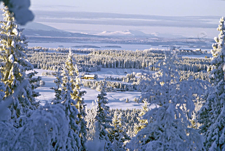 Vinterlandskap på Frösön fjäll, Frösön, Jämtland, Landskap, skog, utsikt, vinter, vinterfjäll
