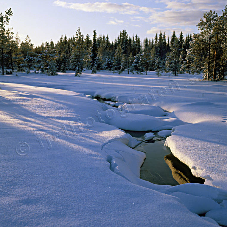bleijkmyr, Jmtland, Landskap, myr, vinter, vinterlandskap