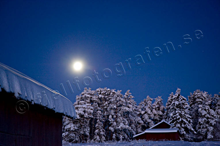 fullmne, granar, julstmning, mnsken, natt, sntyngda, stmning, stmningsbild, stmningsbilder, vinter, vinternatt, rstid, rstider