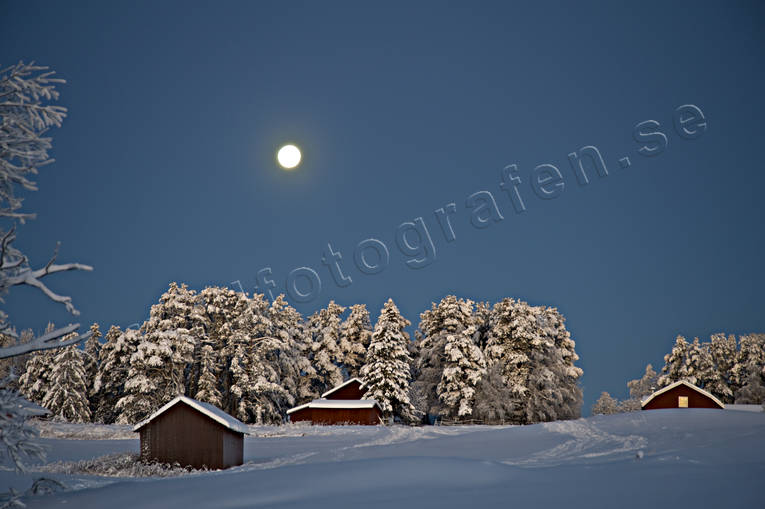 fullmne, julstmning, mnsken, natt, stmning, stmningsbild, stmningsbilder, vinter, vinternatt, rstid, rstider