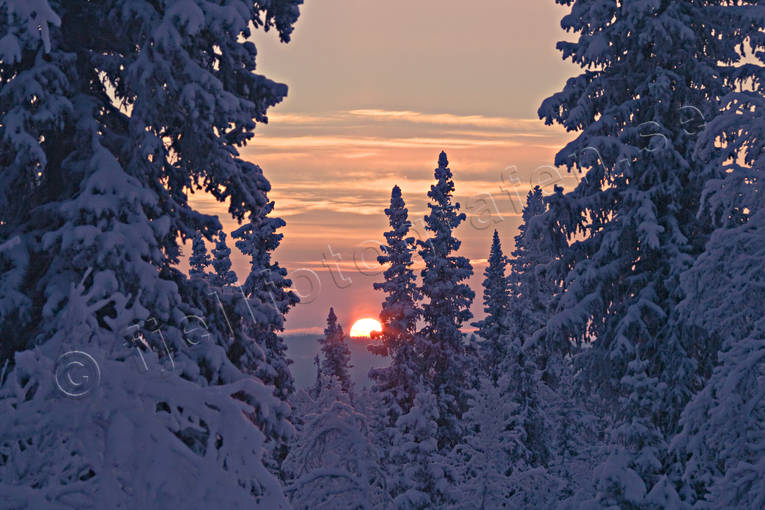 Landskap, lappland, vinter, rstid, rstider