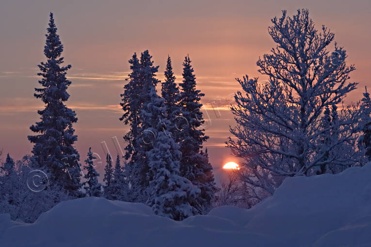 Landskap, lappland, vinter, rstid, rstider