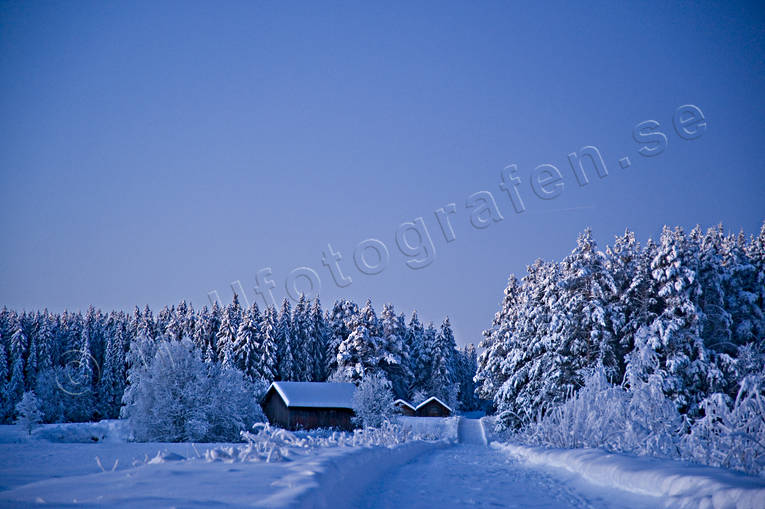 julstmning, natt, stmning, stmningsbild, stmningsbilder, vinter, vinternatt, rstid, rstider