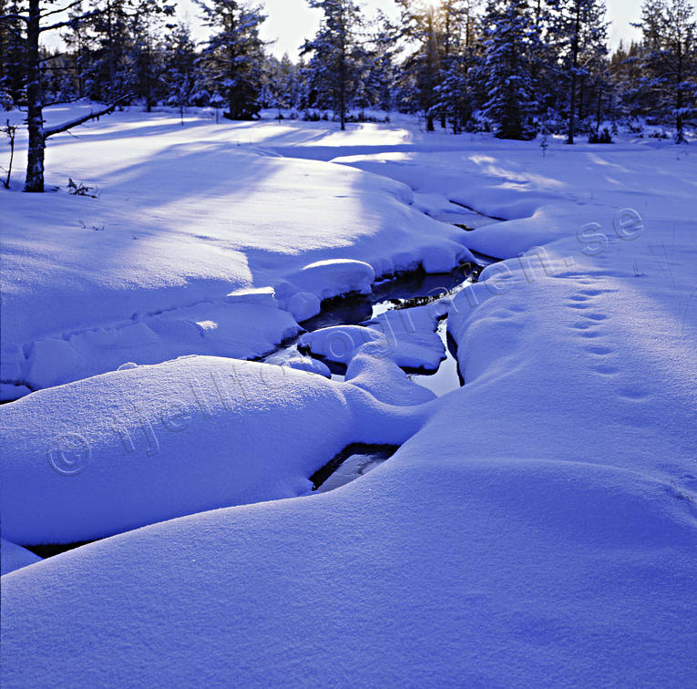 bleijkmyren, bl, bck, julkort, julstmning, kyla, sn, stmning, stmningsbild, stmningsbilder, vinter, vinterbck, rstid, rstider