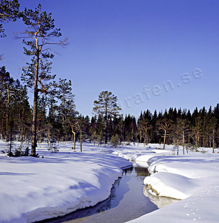 bleijkmyren, julkort, julstmning, myr, stmning, stmningsbild, stmningsbilder, vinter, vintervy, Vlbacken, vrvinter, rstid, rstider
