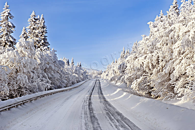 Vinterväg Jämtland, kommunikationer, landfart, Landskap, natur, snö, Ullådalen, vinter, årstider