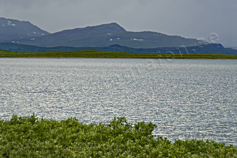 Virihaure vid Staloluokta Landskap, lappland, nationalpark, Padjelanta, sommar, Virihaure