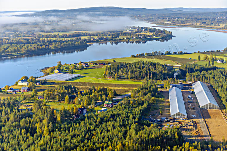anlggningar, drnarbilder, drnarfoto, flygbild, flygbilder, Flygfoto, flygfoton, gurkodling, grdar, Hietalas Handelstrdgrd, hst, Korva, Landskap, Norrbotten, polcirkeln, tomatodling, vxthus