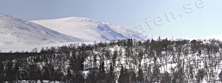 Anarisfjllen, bjrkskog, Bredsjn, fjll, fjllskog, Jmtland, Landskap, panorama, panoramabilder, vinter