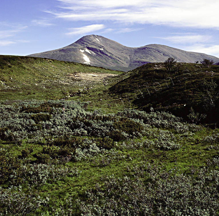 fjll, fjllvandring, Helagsfjllen, Jmtland, Landskap, ledmarkering, Nedalssjn, sommar