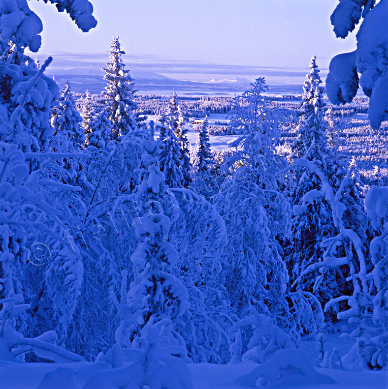 bl, Frsn, Jmtland, Landskap, utsikt, vinter, rstid, rstider