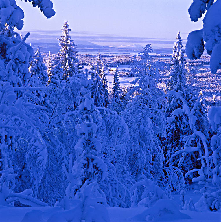 blå, Frösön, Jämtland, Landskap, utsikt, vinter, årstid, årstider