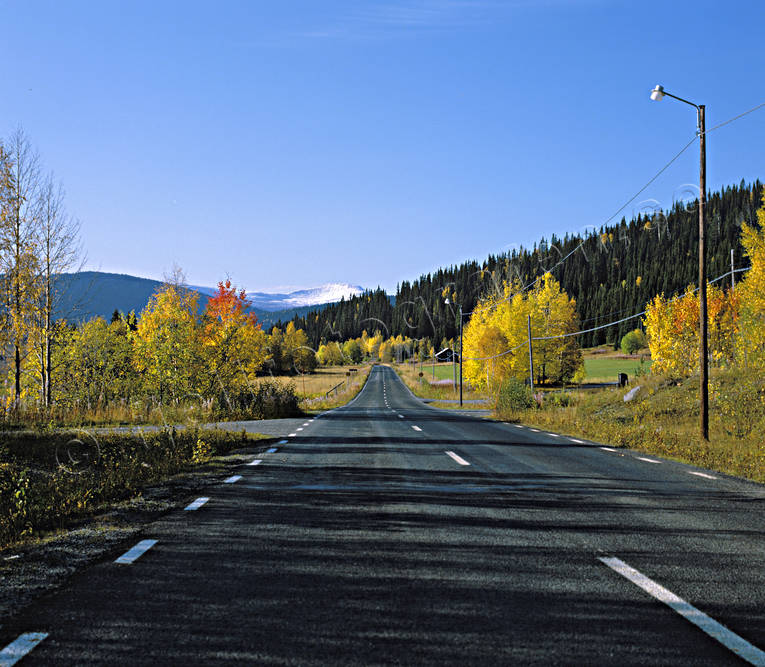 Väg 342 mot Gäddede glesbygd, Gäddede, höst, höstfärger, Jämtland, landsbygd, Landskap, landsväg, Sjulsåsen, väg, årstid, årstider